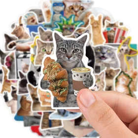 Котки